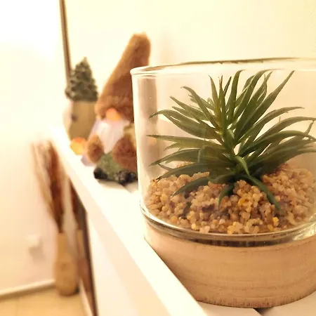 Cozyhome Medena Central, Quiet Premium Spot In Old Town